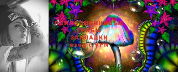 герыч Вязьма