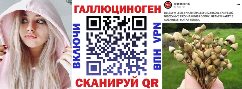 Псилоцибиновые грибы Magic Shrooms  цены   Нижнекамск 